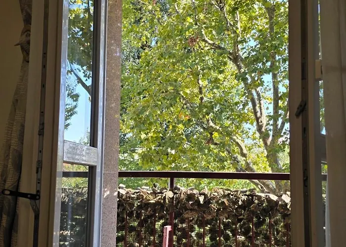 & Dintorni Pensjonat 3*