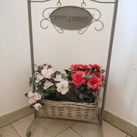 Guest house & Dintorni